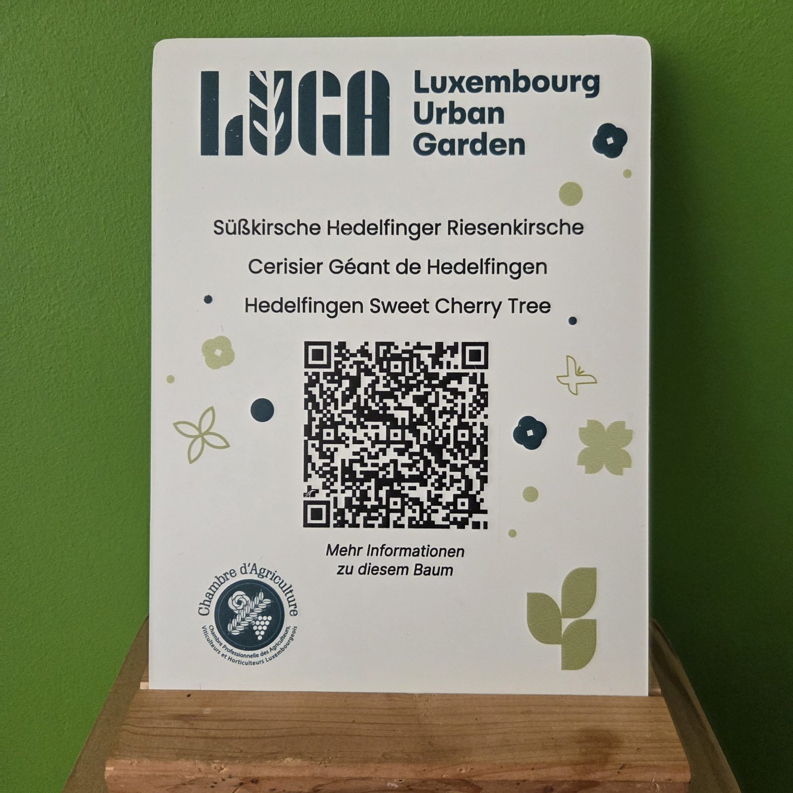 20250703_091339-1-scaled