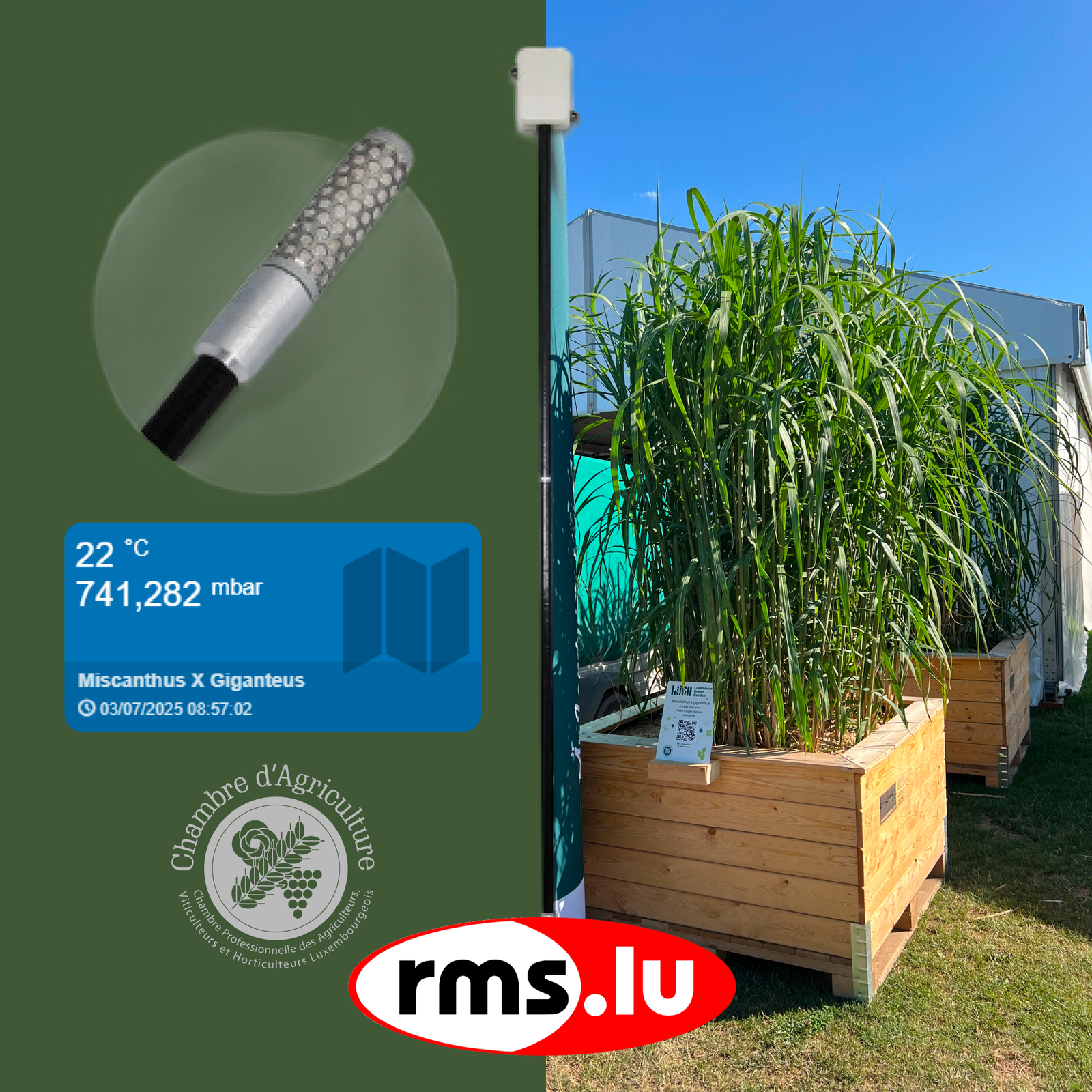 Comm' capteur social